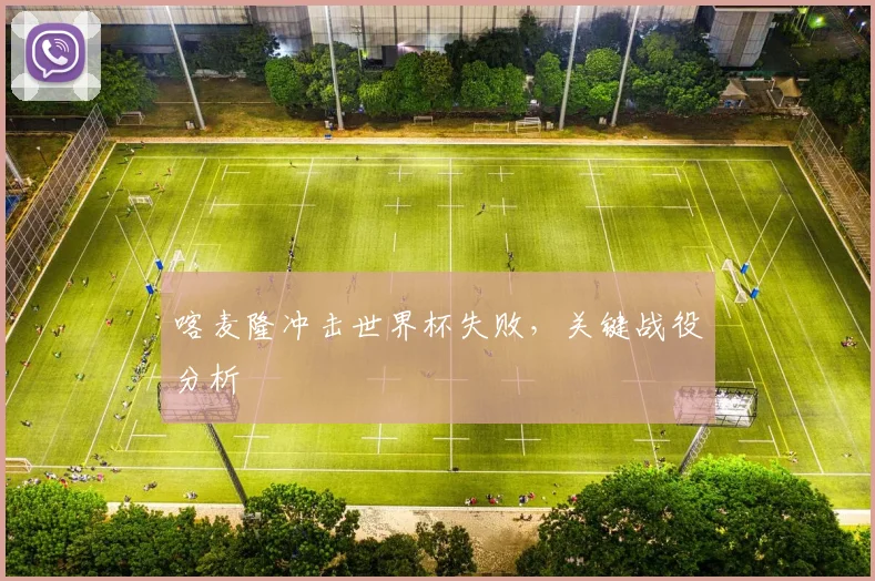 喀麦隆冲击世界杯失败，关键战役分析