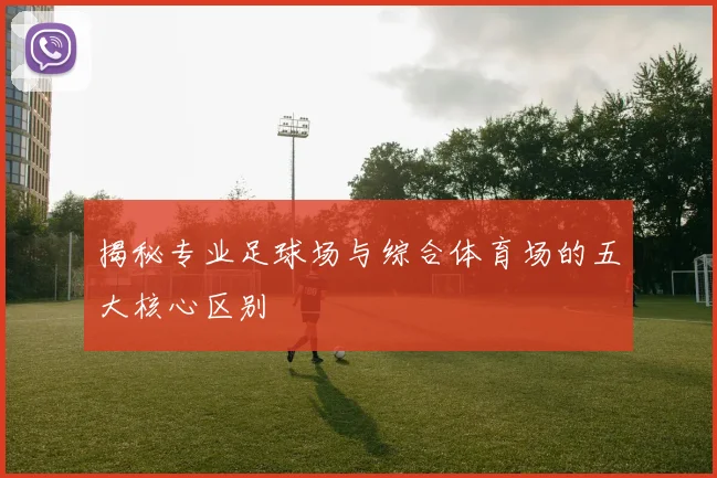 揭秘专业足球场与综合体育场的五大核心区别