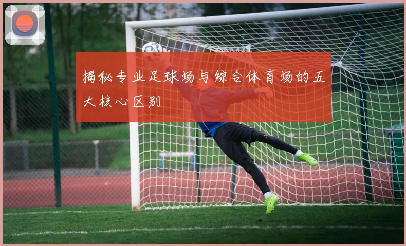 揭秘专业足球场与综合体育场的五大核心区别